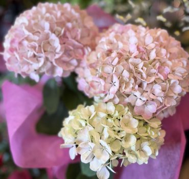 紫陽花｜「バルーンフラワー」　（岩手県紫波郡矢巾町の花キューピット加盟店 花屋）のブログ
