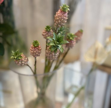 パイナップル|「バルーンフラワー」　（岩手県紫波郡矢巾町の花屋）のブログ