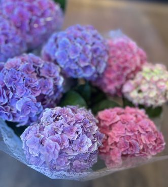 紫陽花|「バルーンフラワー」　（岩手県紫波郡矢巾町の花屋）のブログ